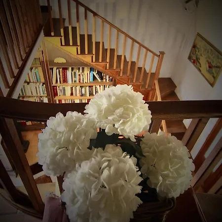 度假居 Book And Bed *